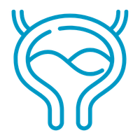 Urology